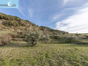 Terreno rustico in vendita a Monachil pueblo