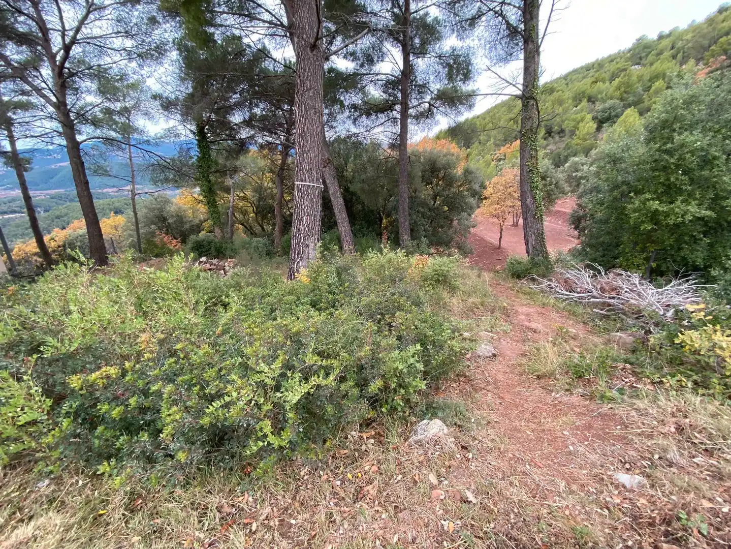 Terreno residencial en venta en L'Ametlla del Vallès, imagen 2
