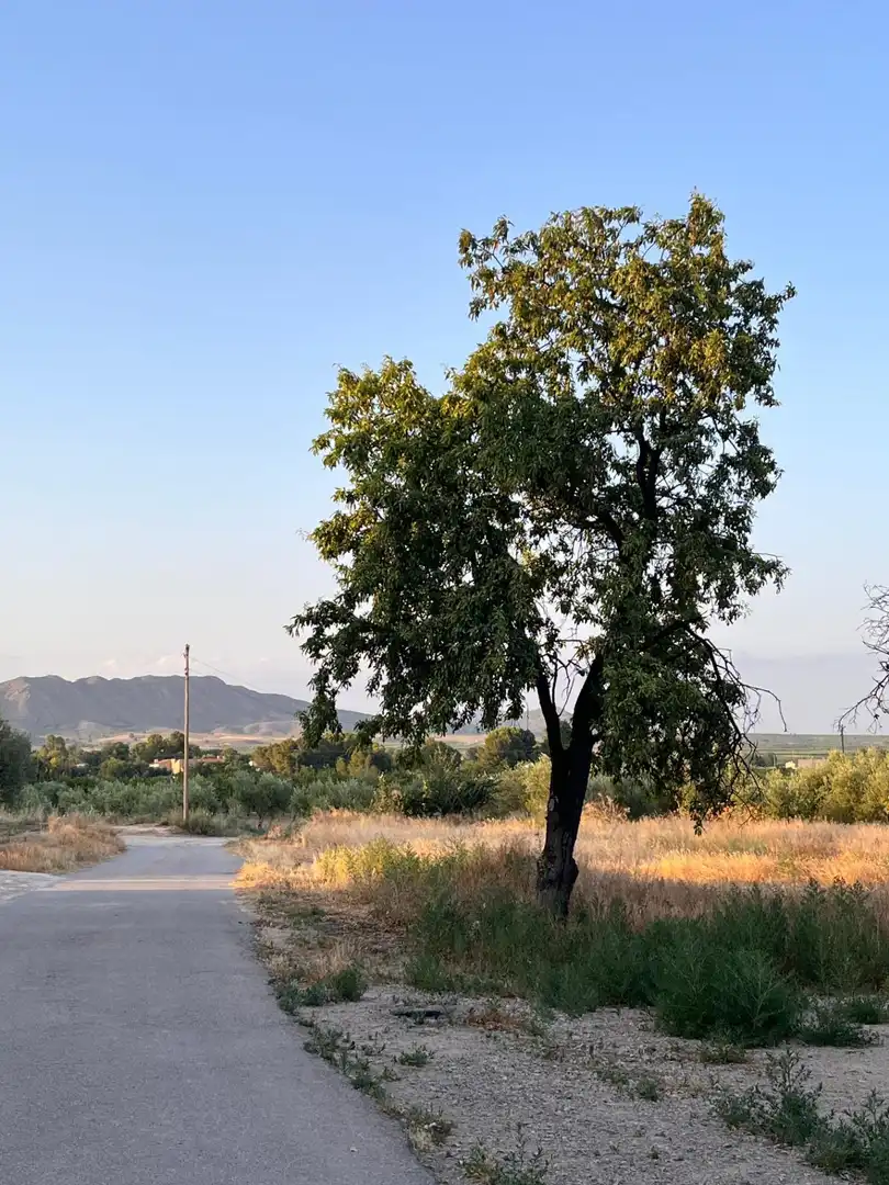 Maison mitoyenne à vendre à Carretera DISEMINADOS 72, imagen 24