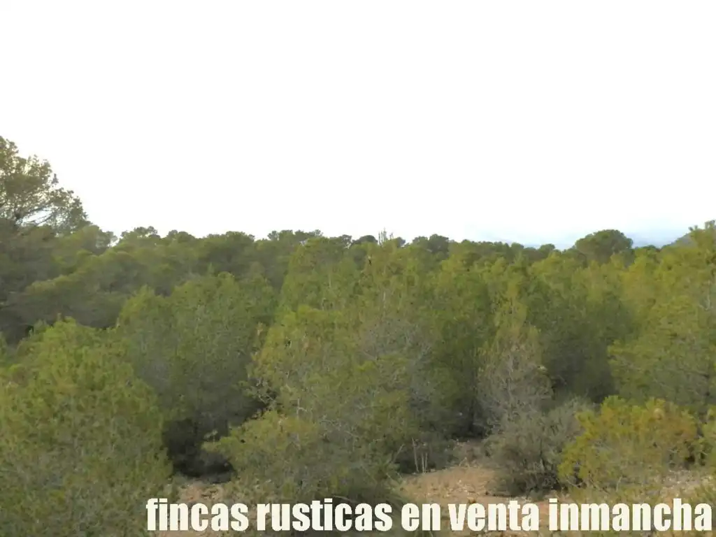 Terreni e lotti in vendita a Tobarra, imagen 19