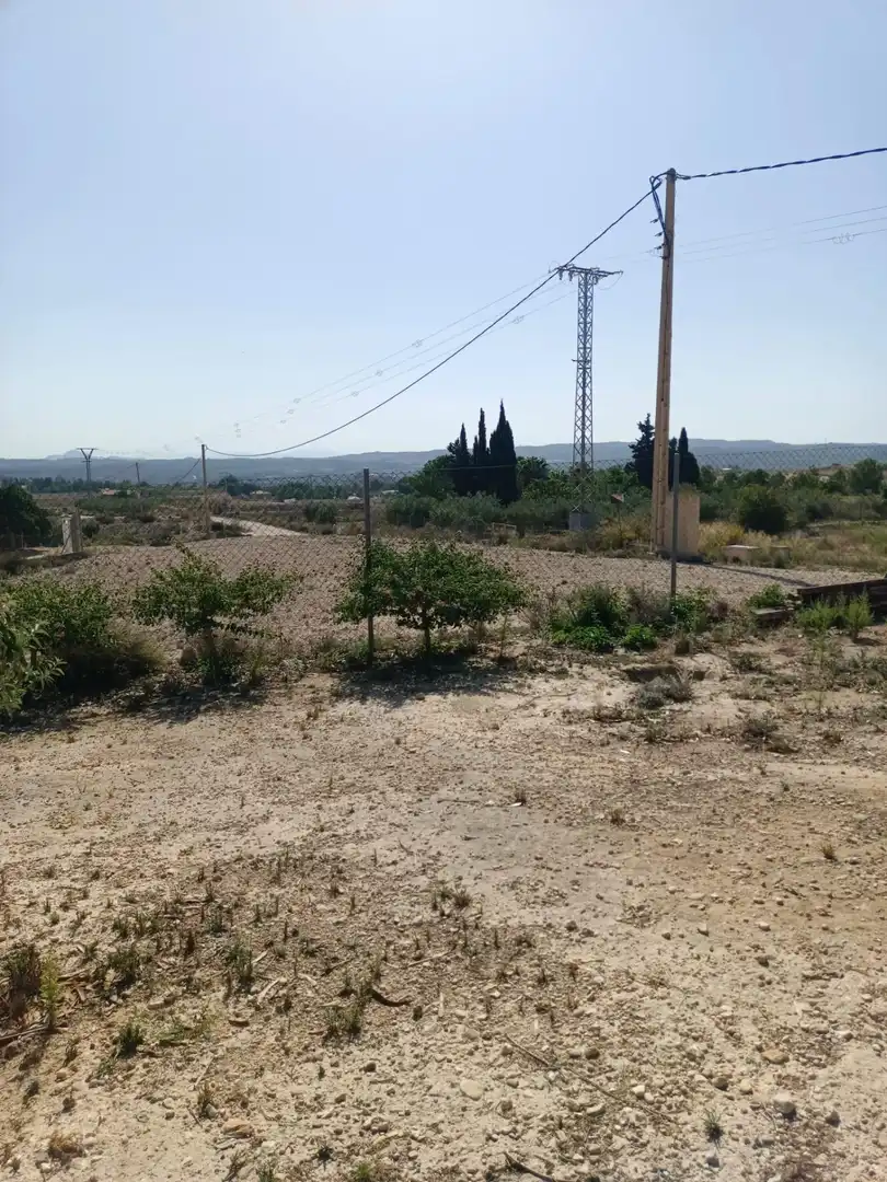 Houses for sale in Molina de Segura