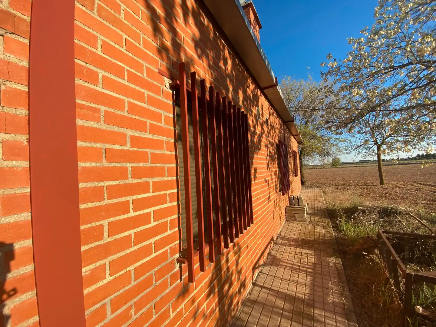 Vista exterior de Casa o chalet en venta en Tomelloso con Jardín privado, Trastero y Amueblado