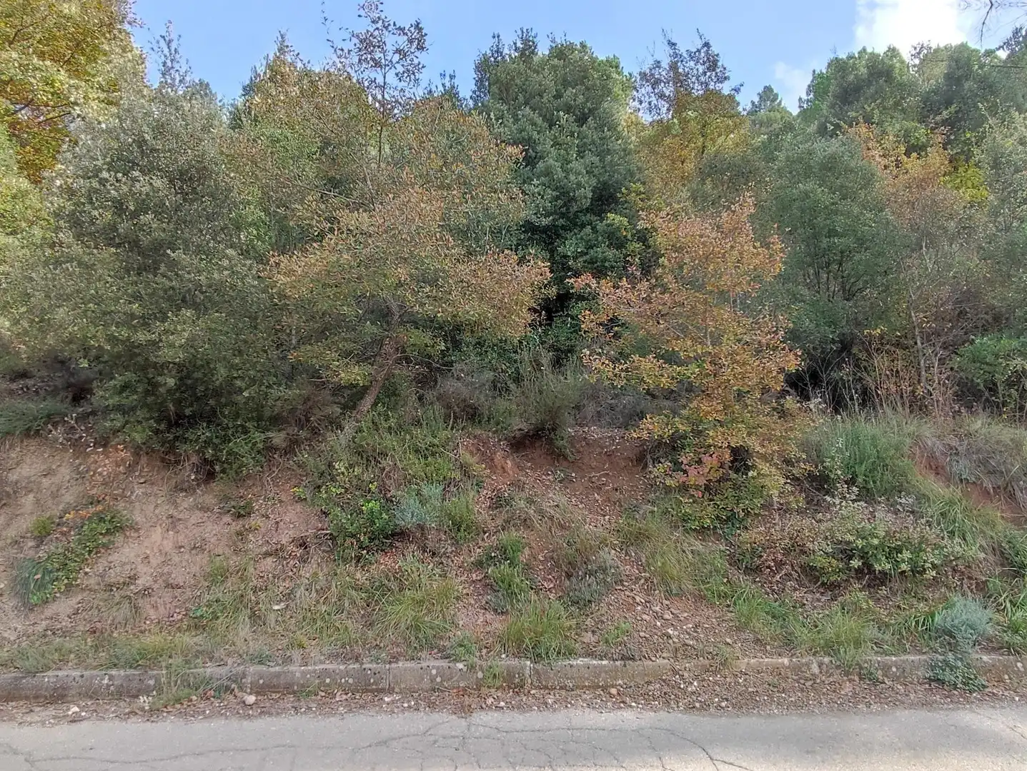 Terrain rustique à vendre à Monistrol de Calders, imagen 8