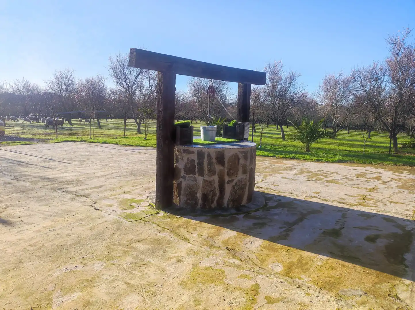 Garten von Grundstücke zum Verkauf in Malpartida de Plasencia
