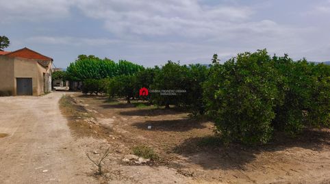 Foto 3 de Finca rústica en venda a Carrer de Berna, Jesús - Els Reguers, Tortosa