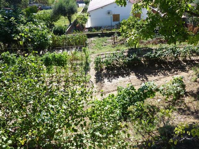 Terreno residencial en Venta en Carrer Carrer del Doctor Pere Pons, 4 en Can Rial