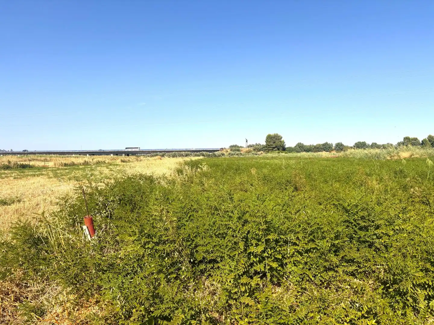 Terreno en venta en Santiponce