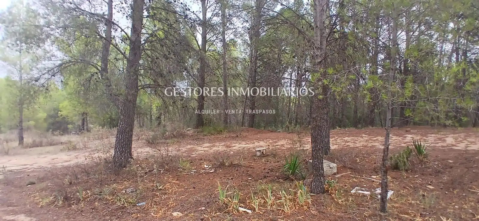 Casa con piscina en venta en Partida la arpella, imagen 14
