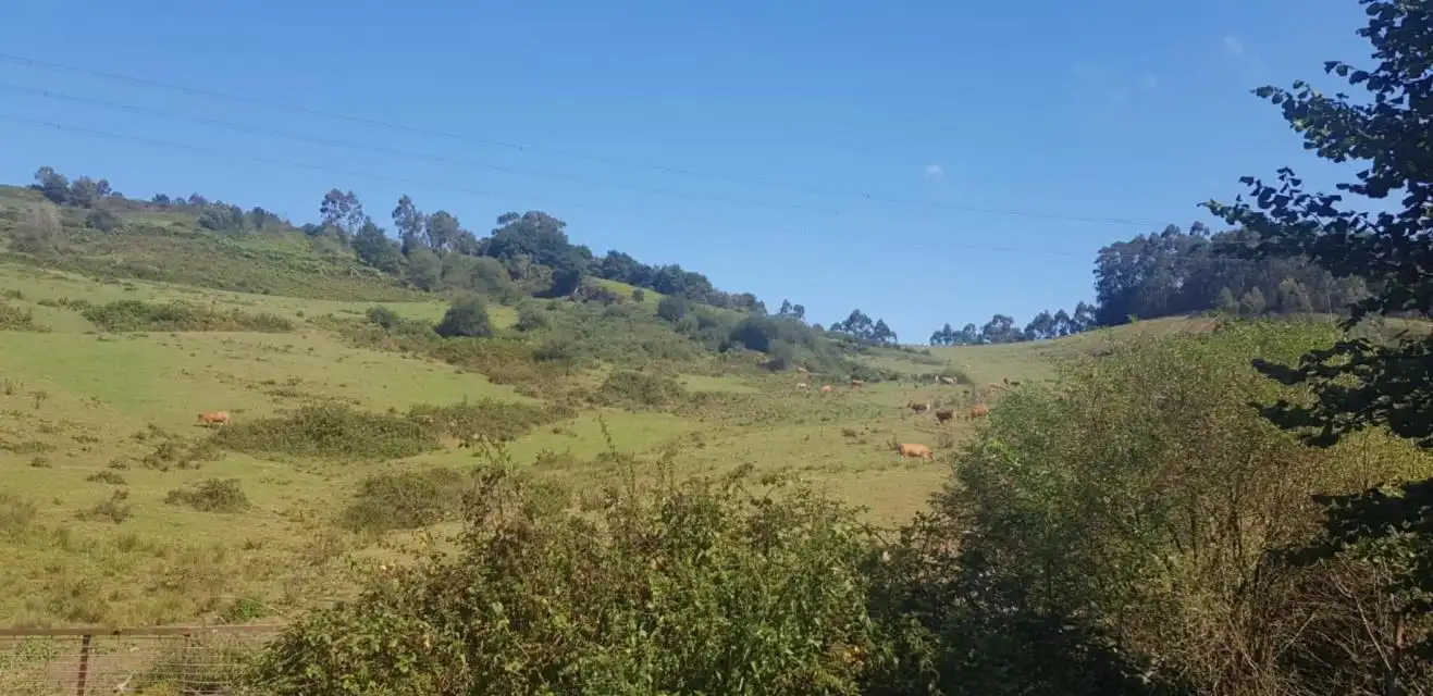 Terreni e lotti in vendita a Paraje la Moñeca, imagen 6