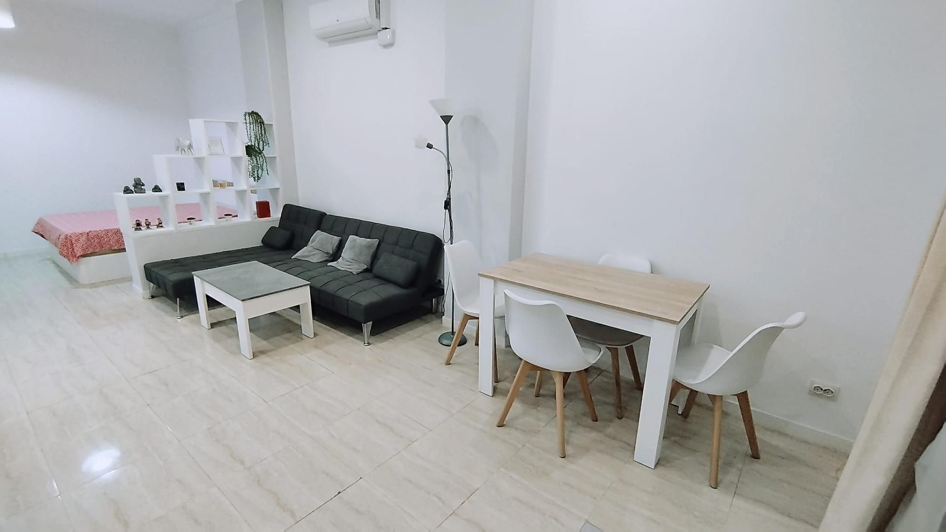 Sala d'estar de Apartament de lloguer en Alicante / Alacant amb Aire condicionat