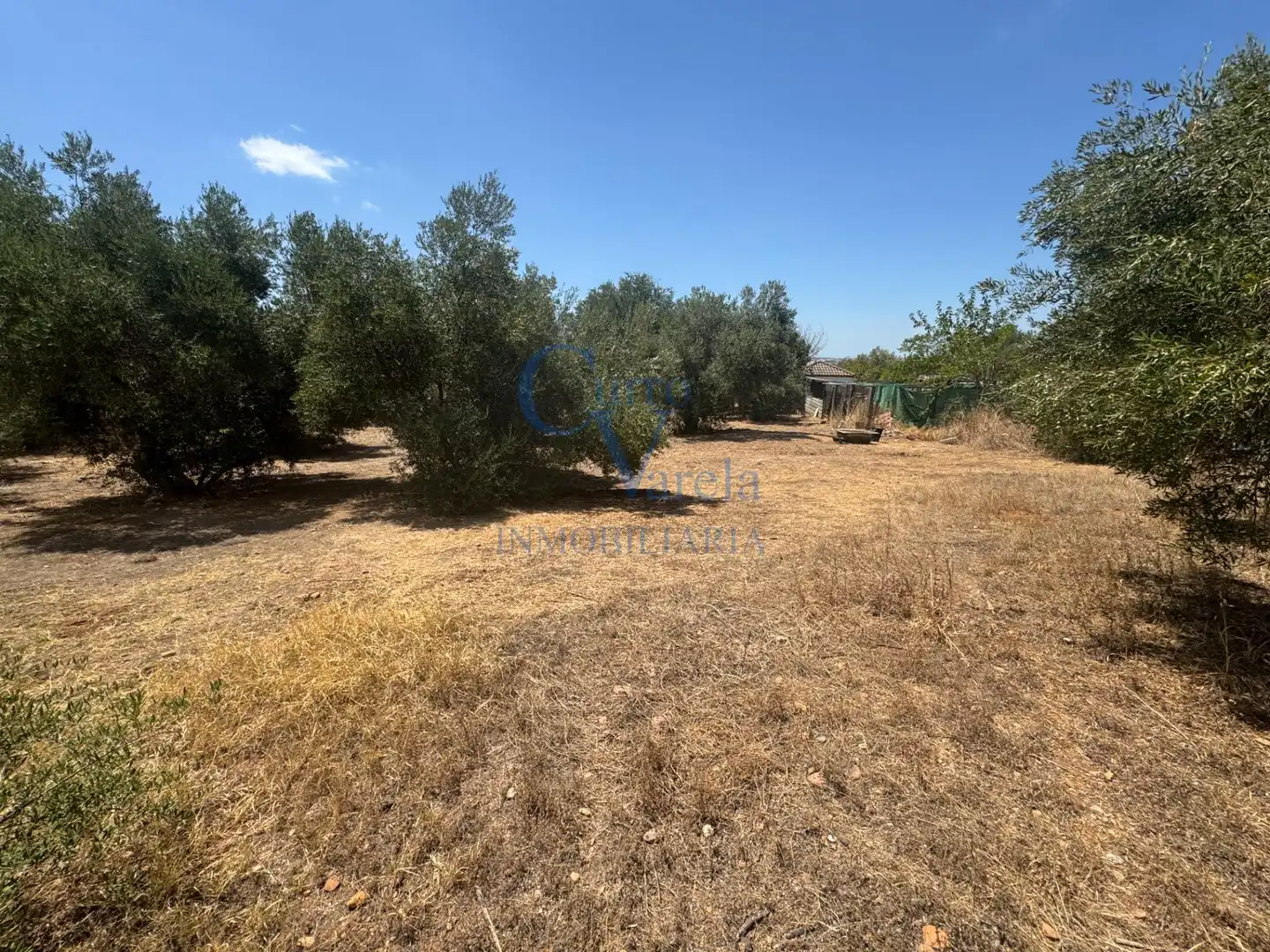 Terreni e lotti in vendita a Arco Norte - Avda España, imagen 11