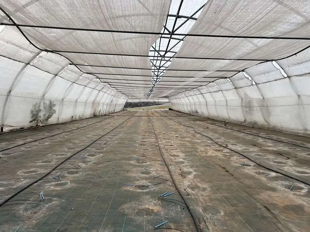 Terrenys i solars en venda a Llanera, imagen 10