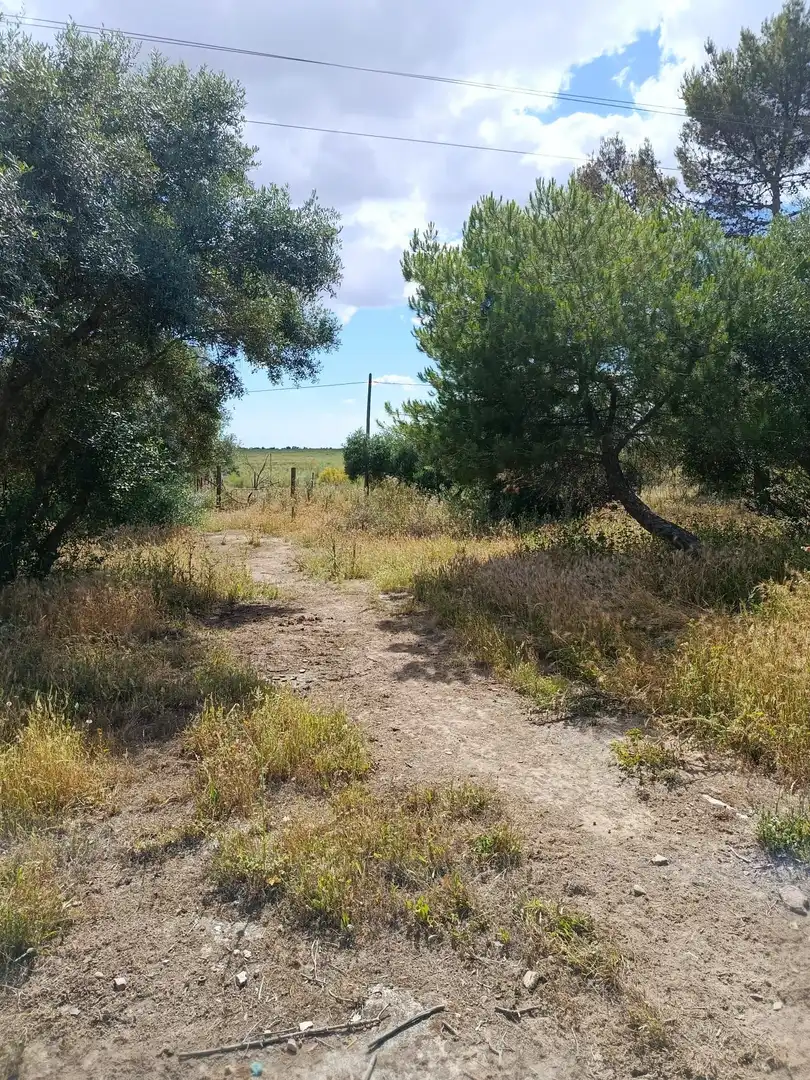Terrain rustique à vendre à Camino CAÑADA REAL ARMADA A-8032, imagen 7