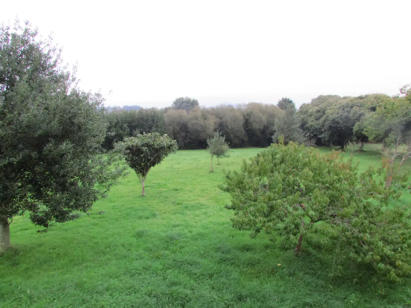 Casa o xalet en venda en Ferrol amb Jardí privat i Traster