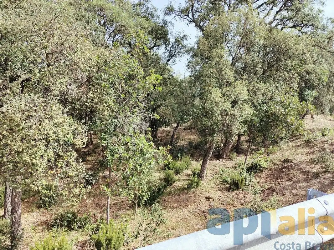 Terreny residencial en venda a Urbanitzacio de Vall Repos, imagen 5