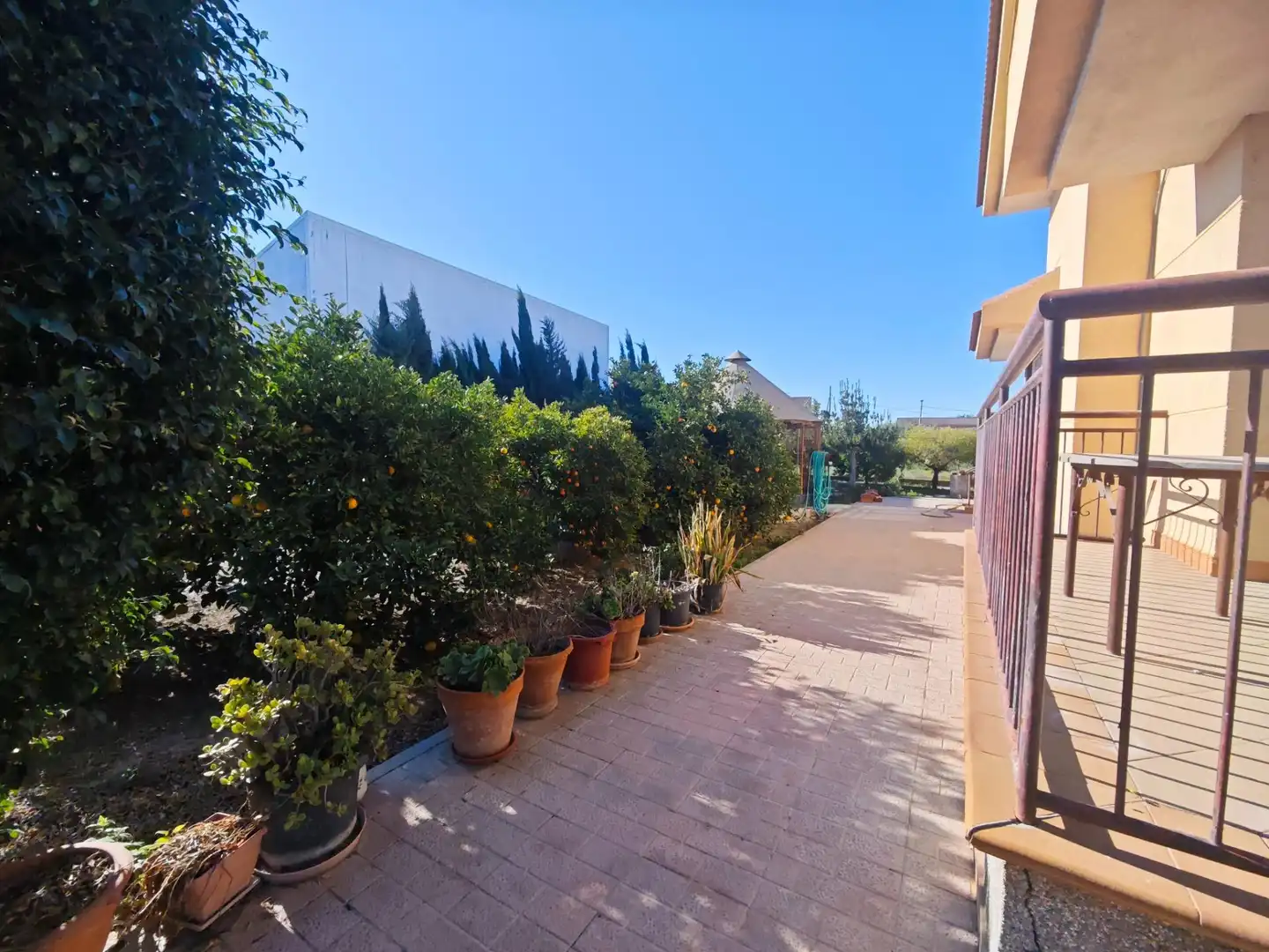Exterior view of Houses for sale in Murcia  with Terrace