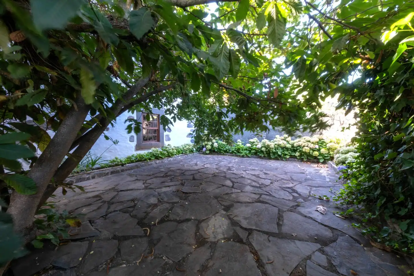 Jardí de Casa o xalet en venda en Santa Brígida amb Jardí privat i Terrassa