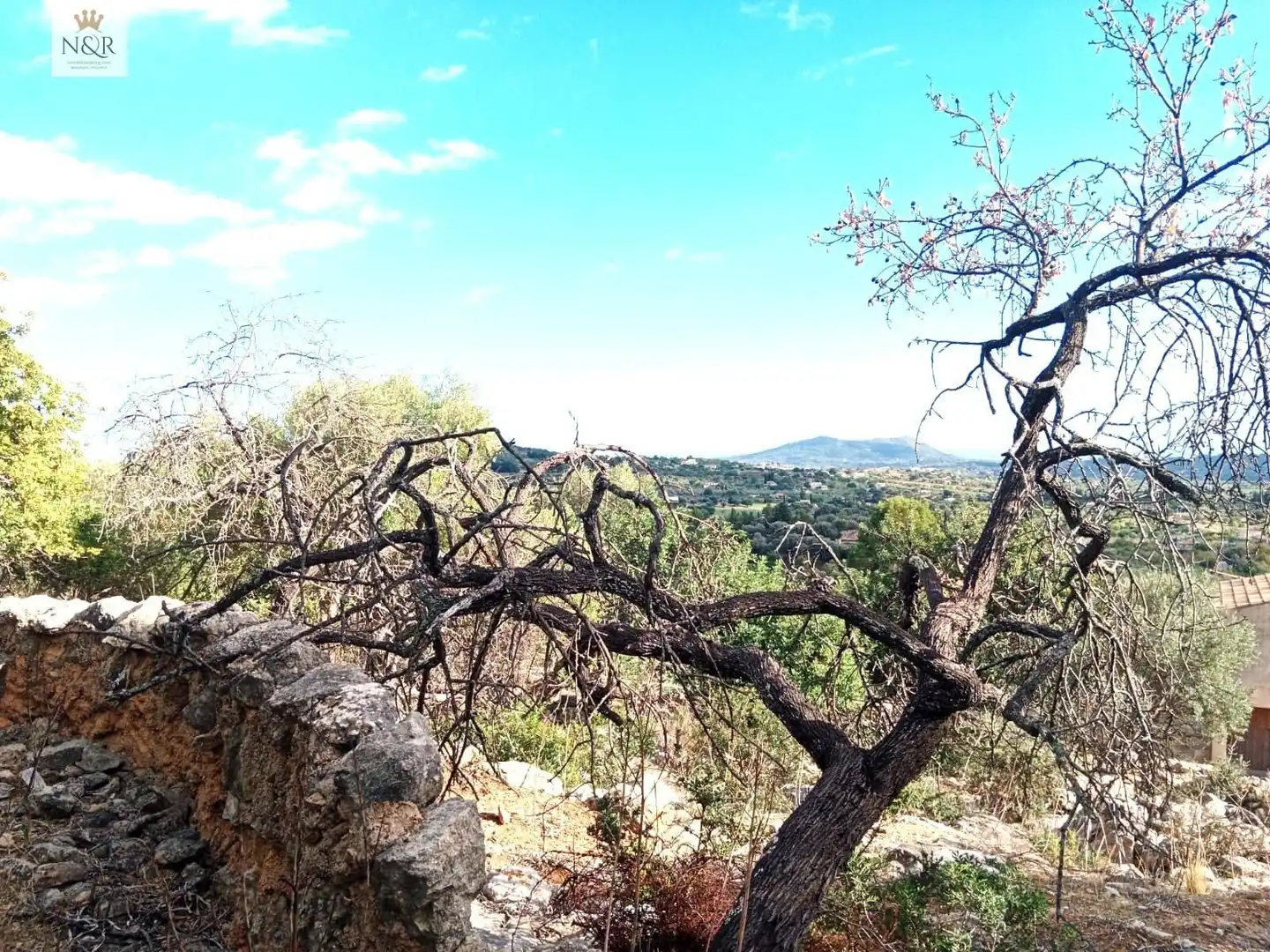 Finca rústica en venta en Selva