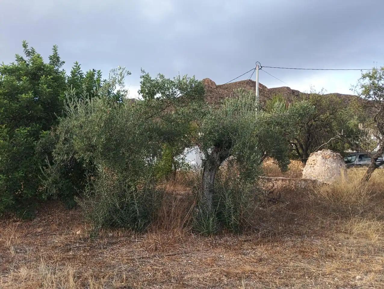 Finca rústica en venda en Bédar amb Jardí privat i Terrassa