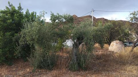 Foto 4 de Finca rústica en venda a Barriada Los Pinos, Bédar, Almería