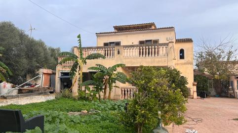 Foto 4 de Finca rústica en venda a  Es Moli, Bunyola, Illes Balears