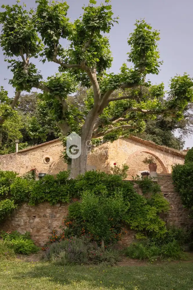 Jardín de Casa o chalet en venta en Cervià de Ter con Piscina