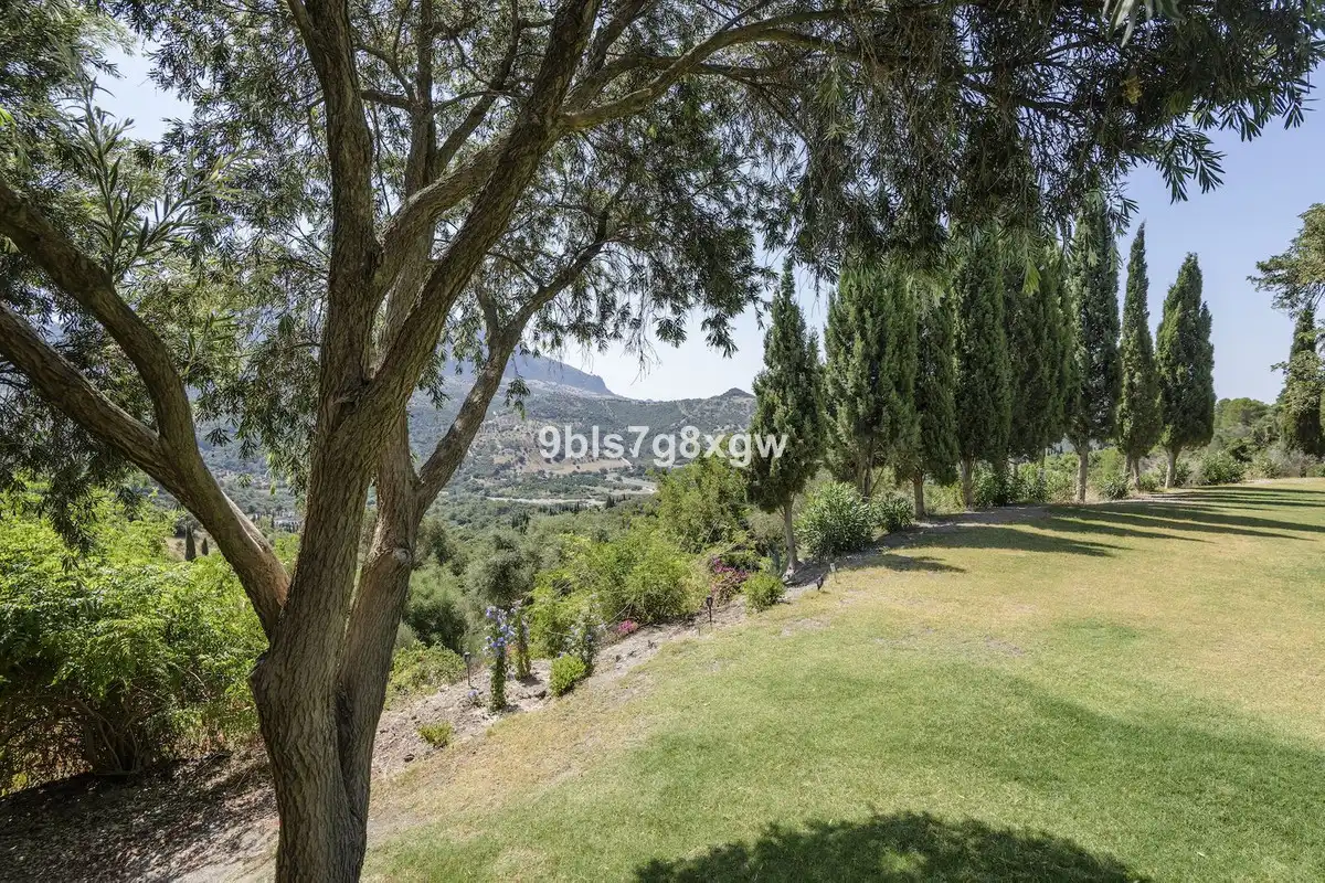 Jardí de Residencial en venda en Gaucín