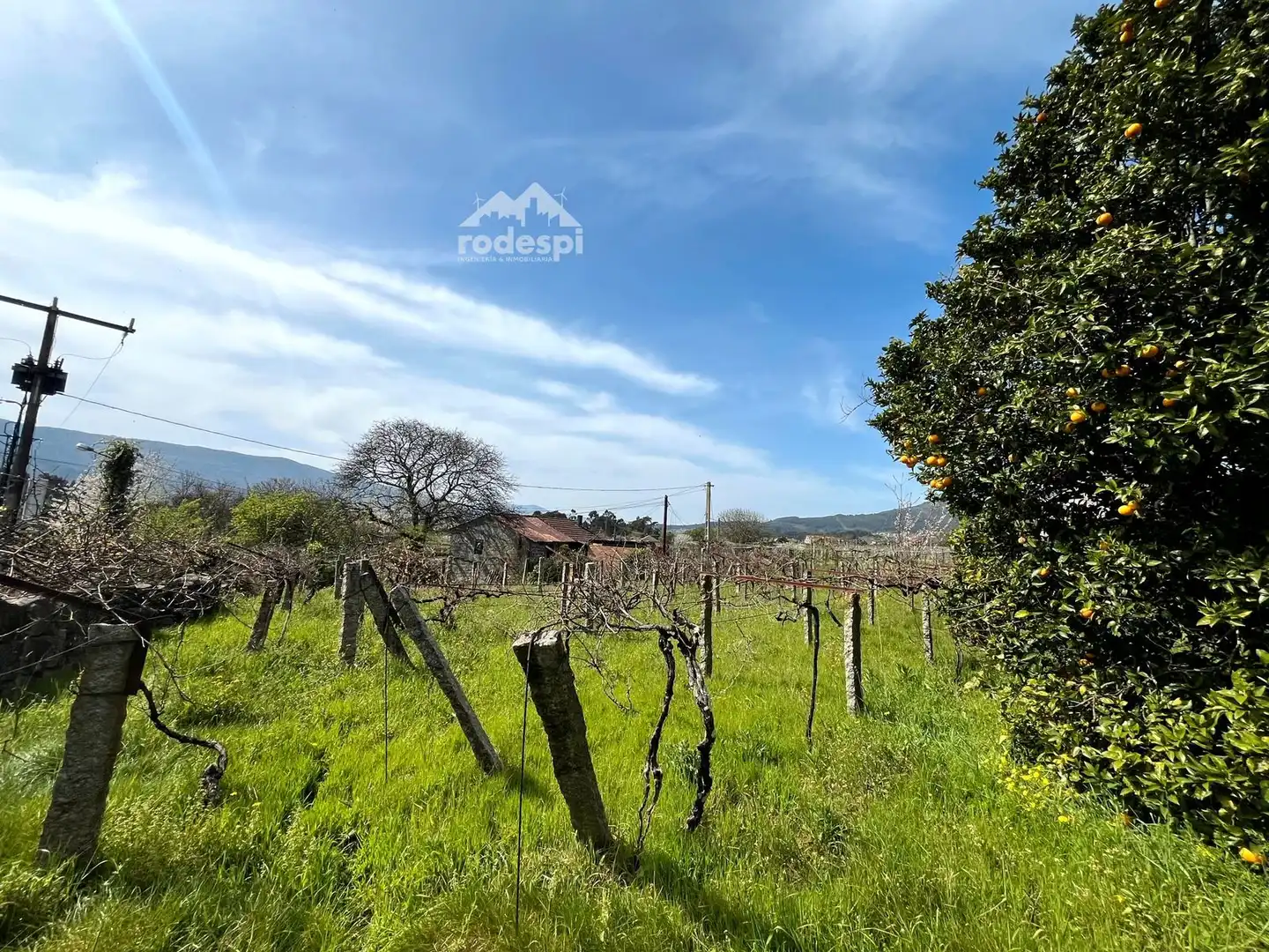 Casa o chalet en venta en Arbo