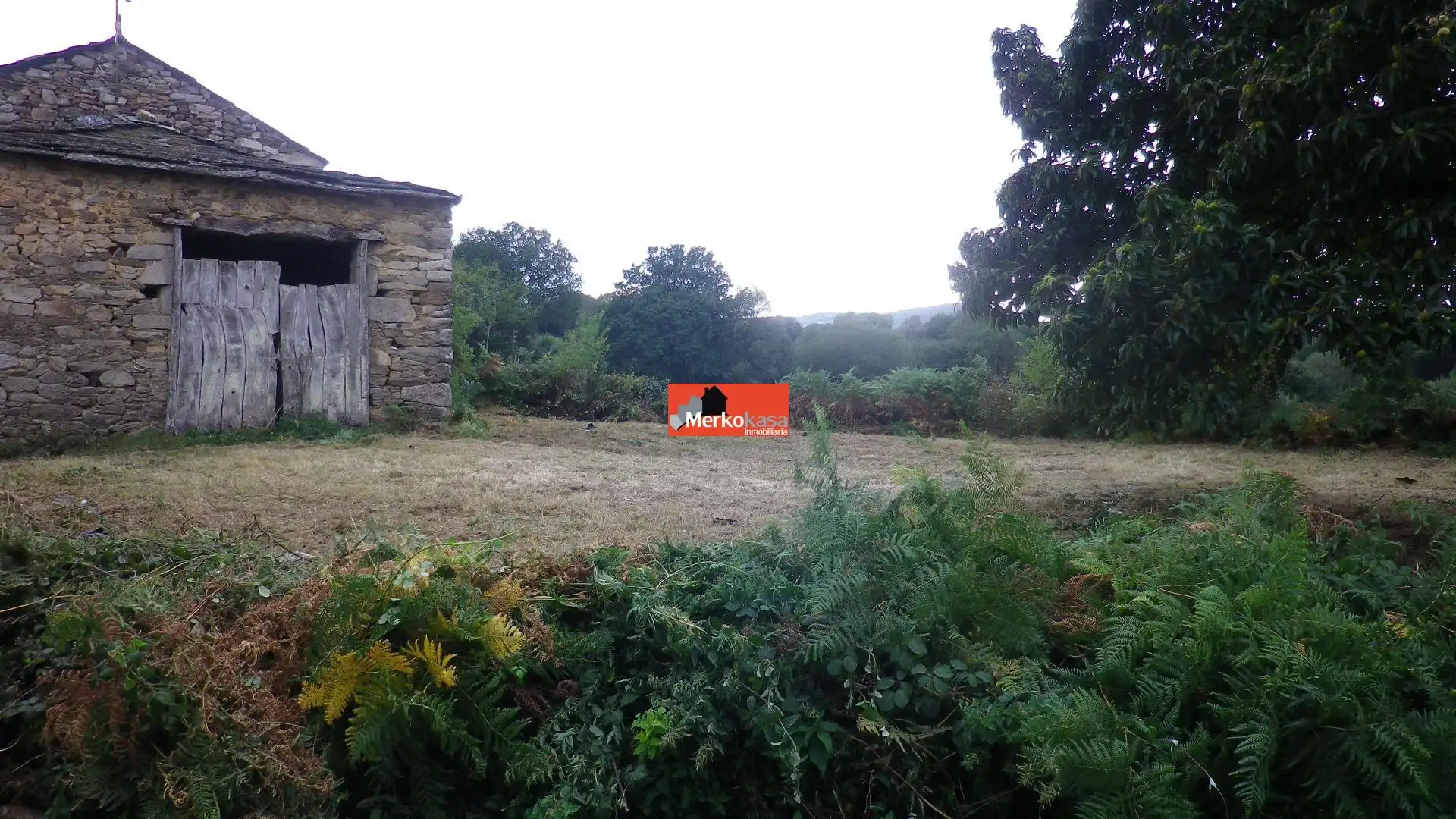 Country homes for sale in Friol