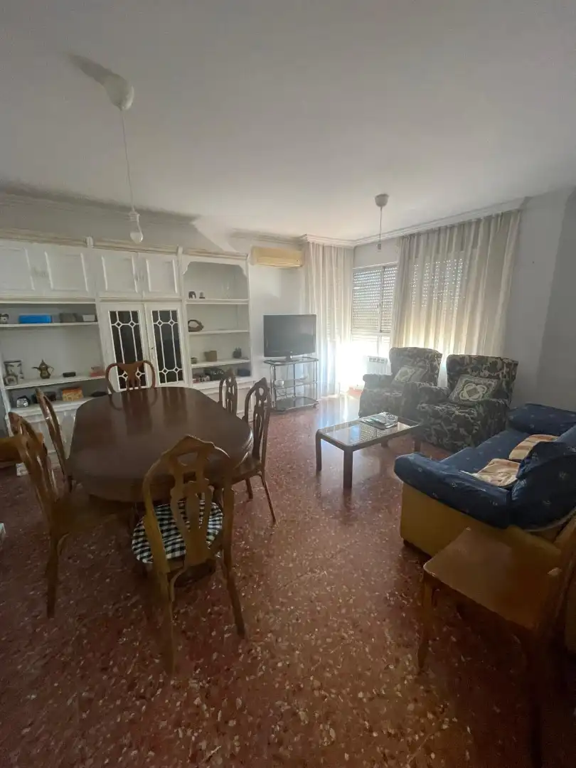 Living room of Flat for sale in Fraga  with Furnished