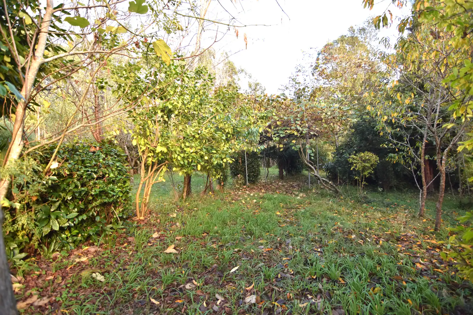 Houses for sale in Narón  with Heating, Private garden and Storage room