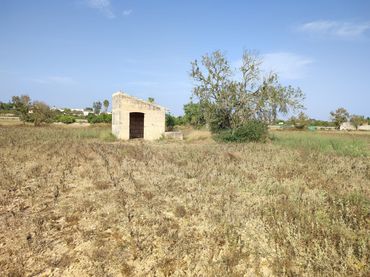 Terrain rustique à vendre à Sant Joan