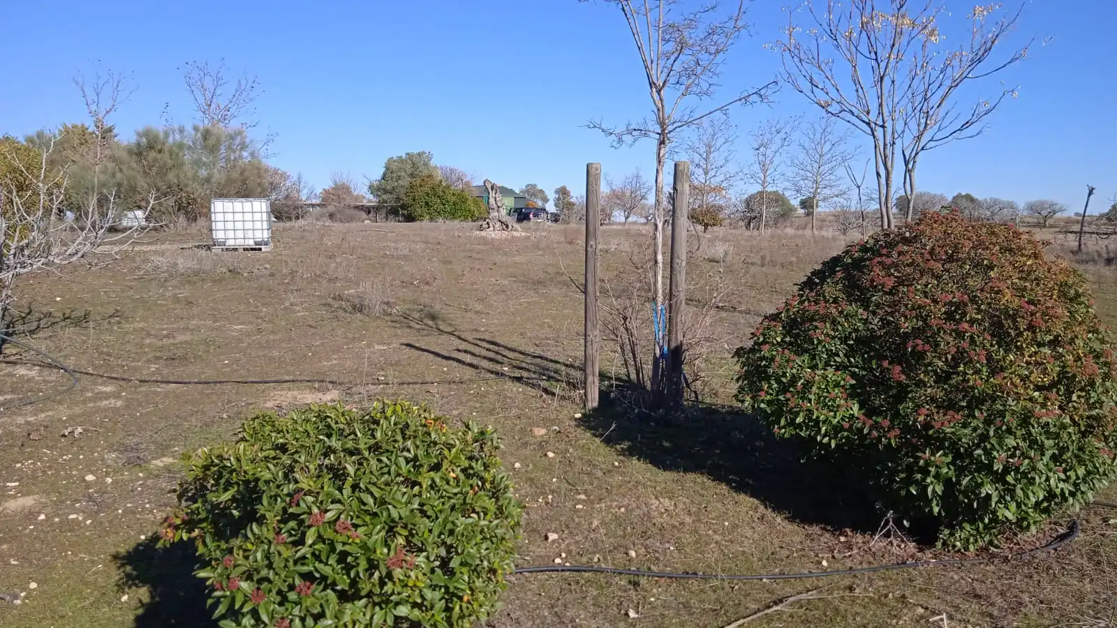 Terreno en venta en Illán de Vacas
