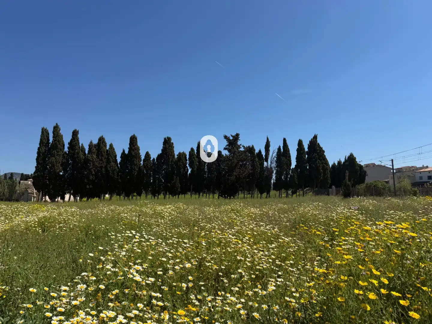 Finca rústica en venta en Binissalem