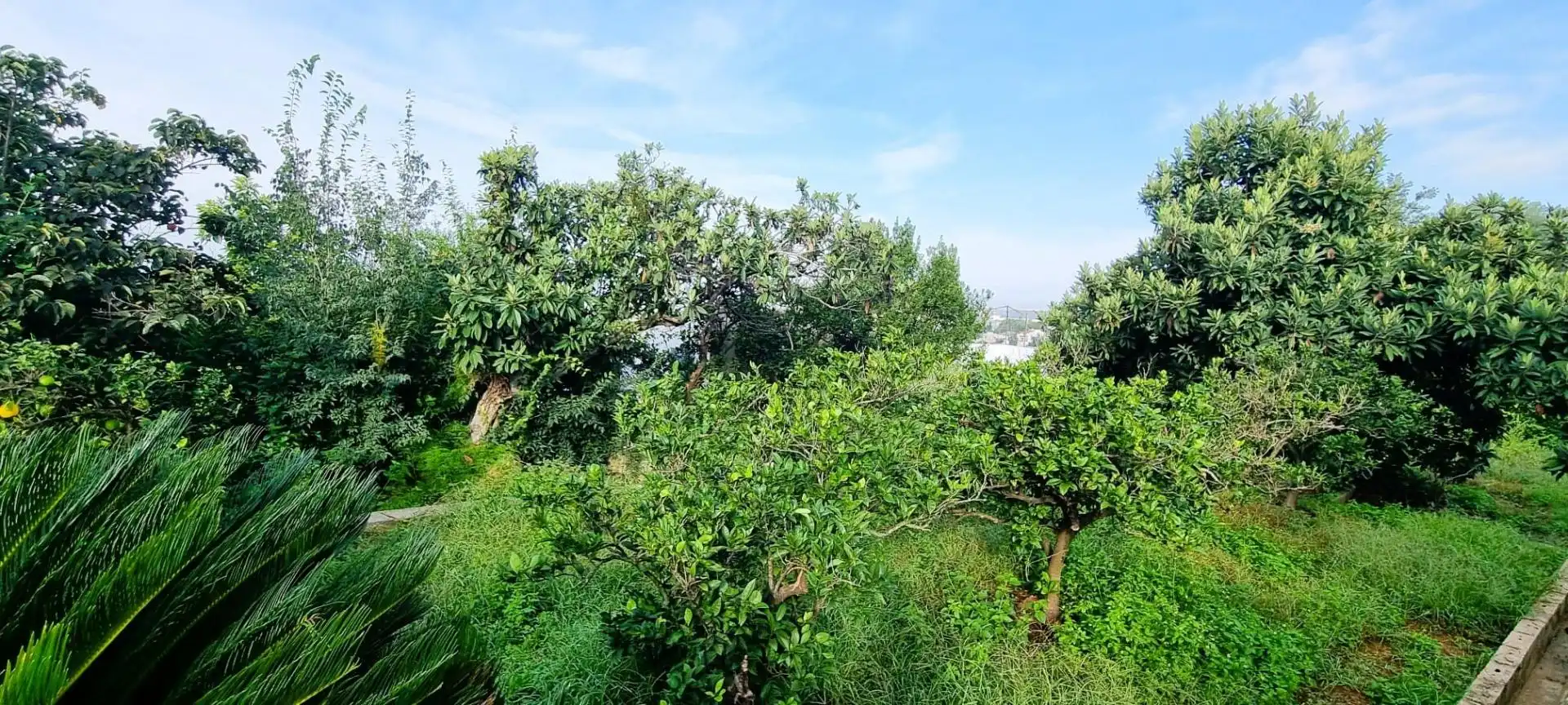 Houses for sale in Alzira  with Air Conditioner, Private garden and Terrace