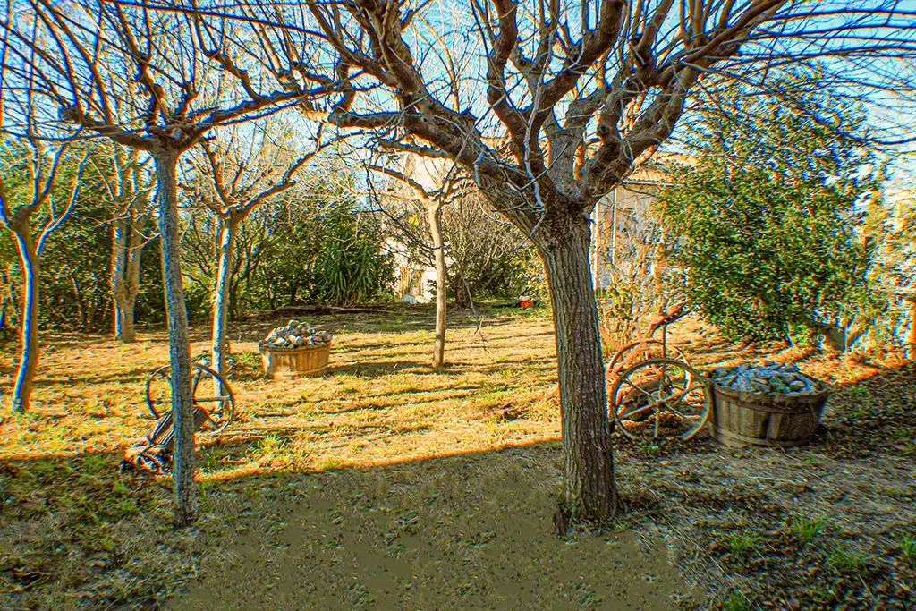 Casa o chalet en venta en BV-2158, 20, Vilobí del Penedès