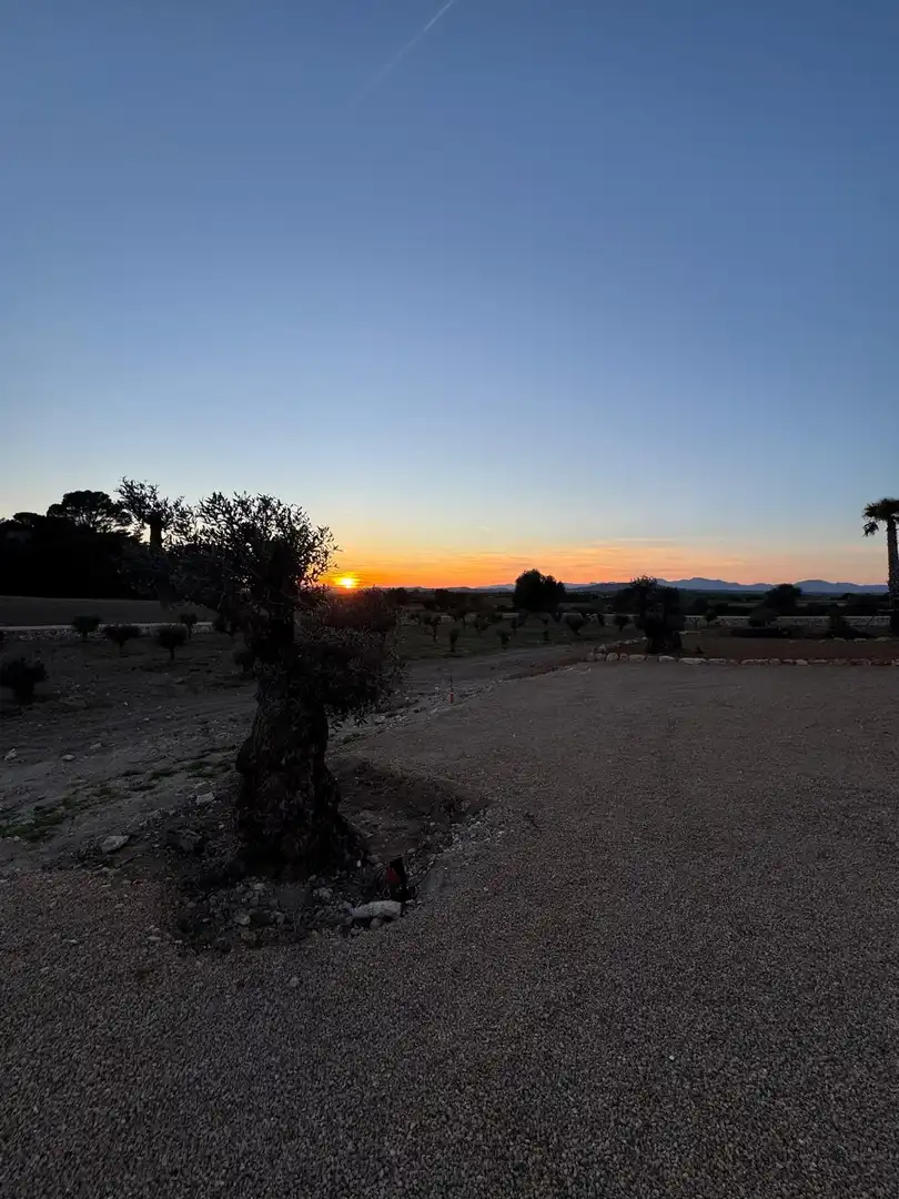 Finca rústica en venda en Manacor amb Aire condicionat, Calefacció i Traster