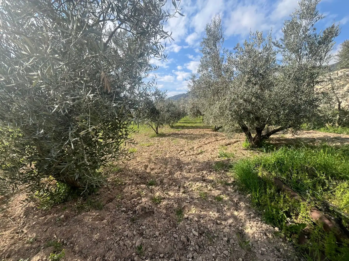 Land for sale in Dúrcal