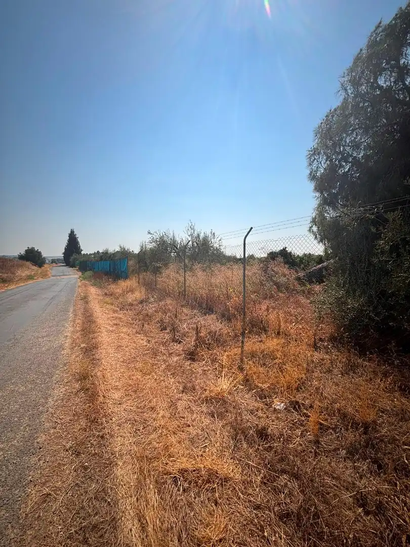Finca rústica en venda en Huévar del Aljarafe amb Jardí privat, Traster i Piscina