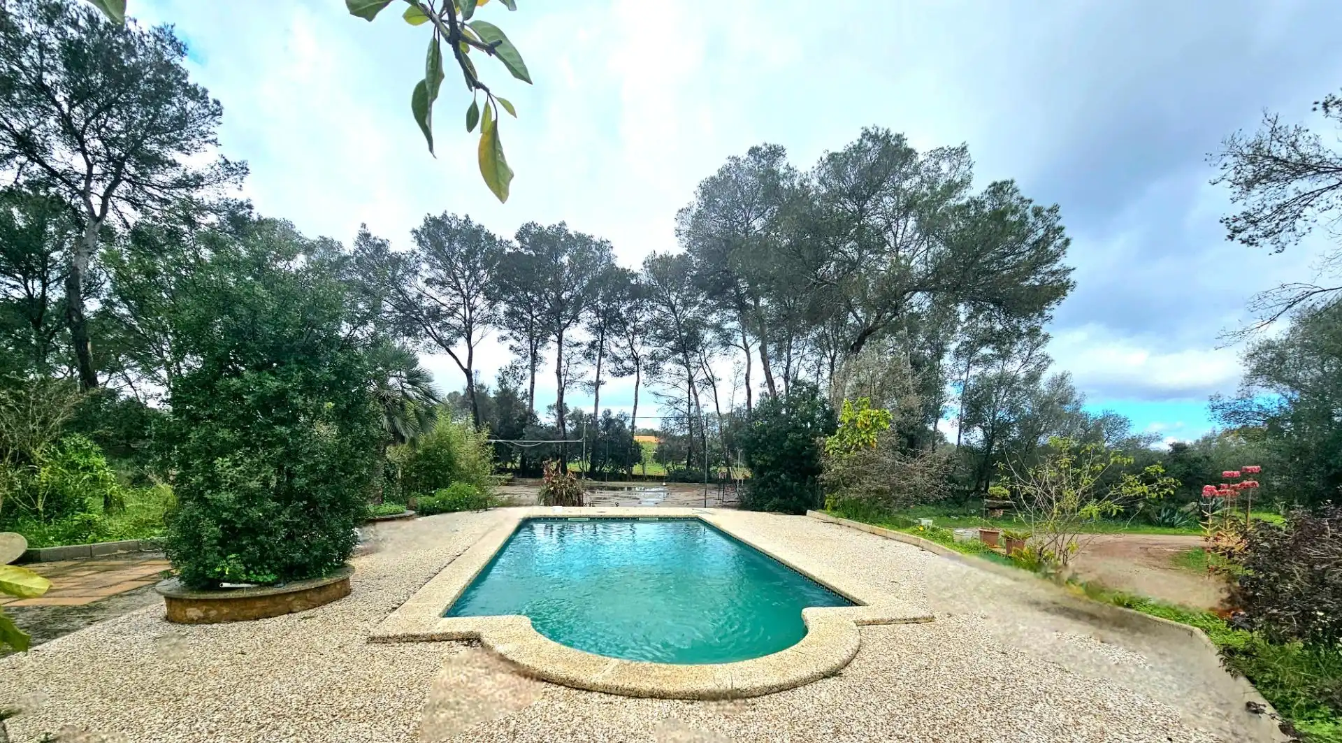 Piscina de Finca rústica en venda en Algaida amb Calefacció, Jardí privat i Traster