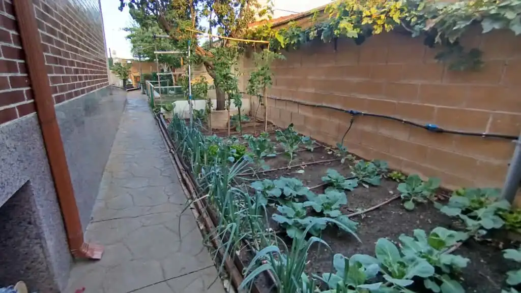 Jardí de Casa o xalet en venda en Villamayor amb Calefacció, Jardí privat i Terrassa