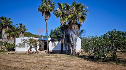 Photo 3 of House or chalet to rent in Puig d'en Valls, Santa Eulària des Riu