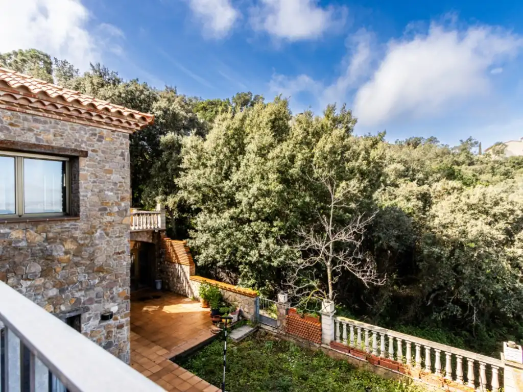 Maison avec jardin à vendre à Calle Alexandre De Riquer, imagen 26