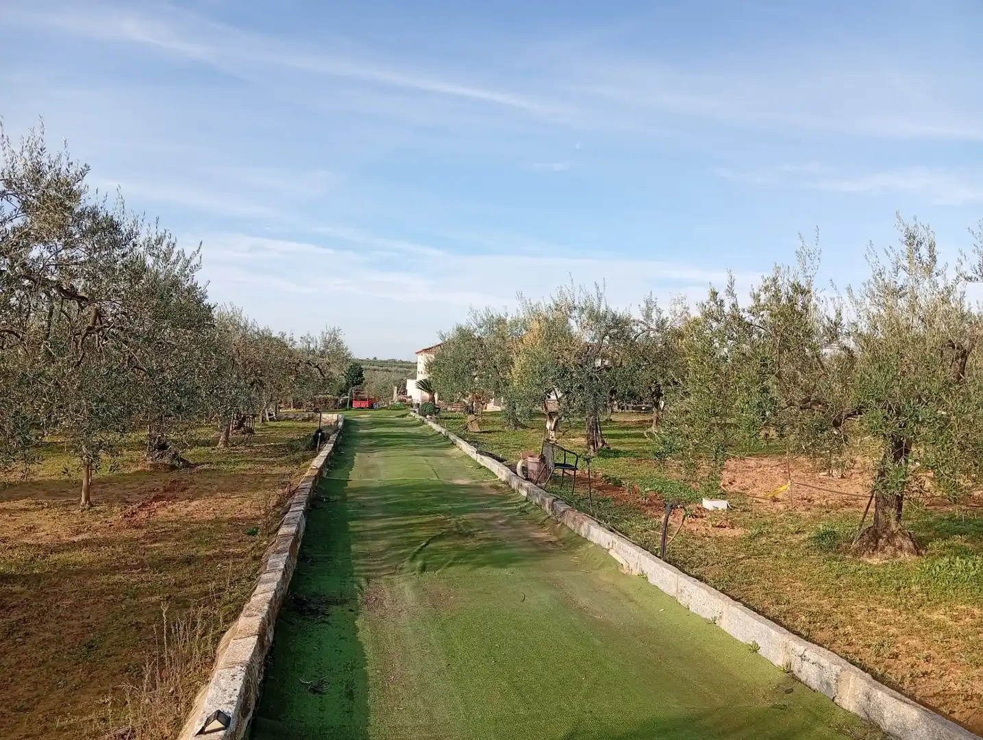 Terreni e lotti in vendita a Villanueva del Ariscal