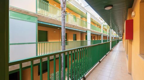 Foto 4 de Piso en venta en Eucaliptus, Eucaliptus - Poble Nou del Delta, Amposta