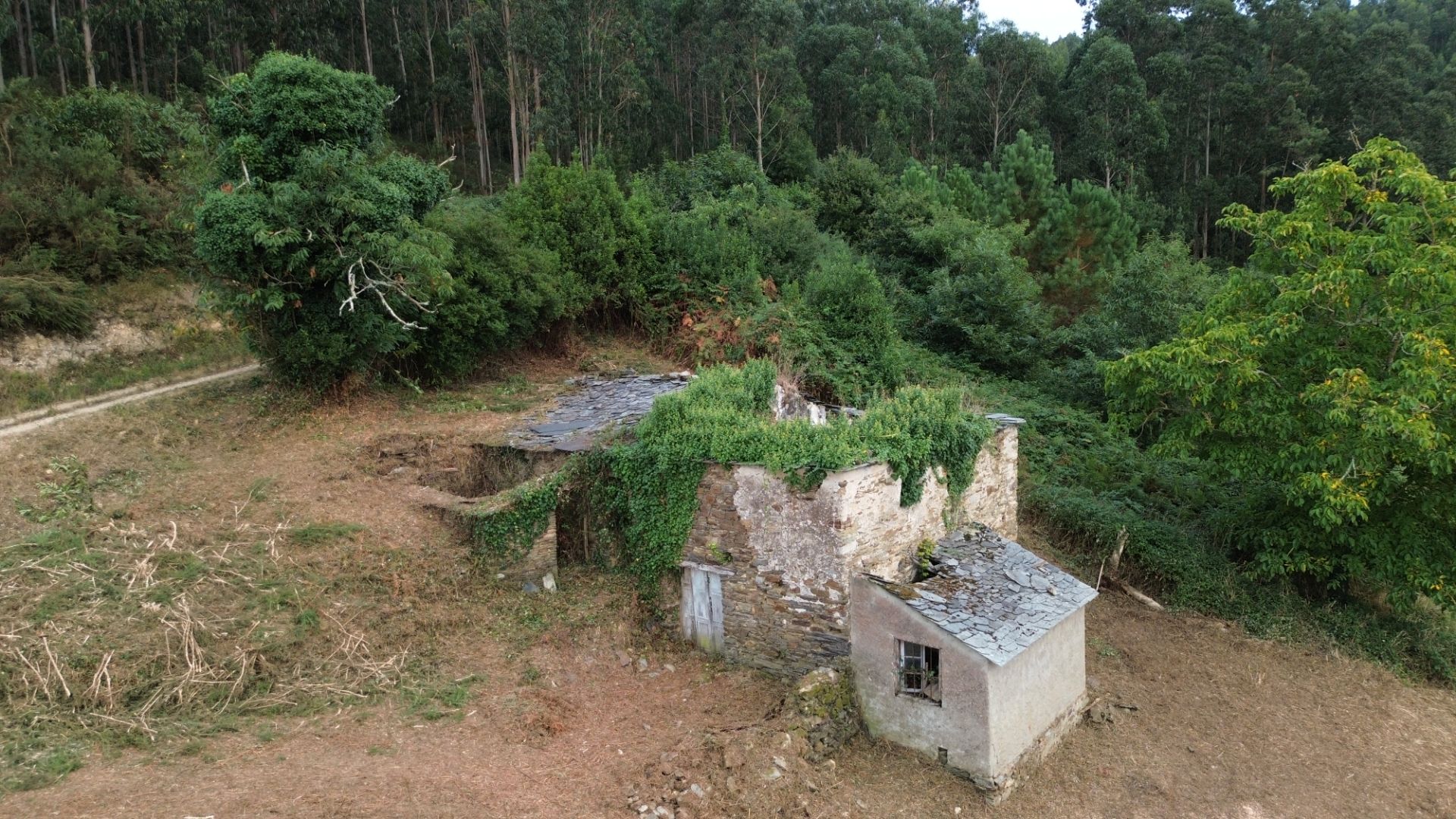 Country house for sale in Castropol