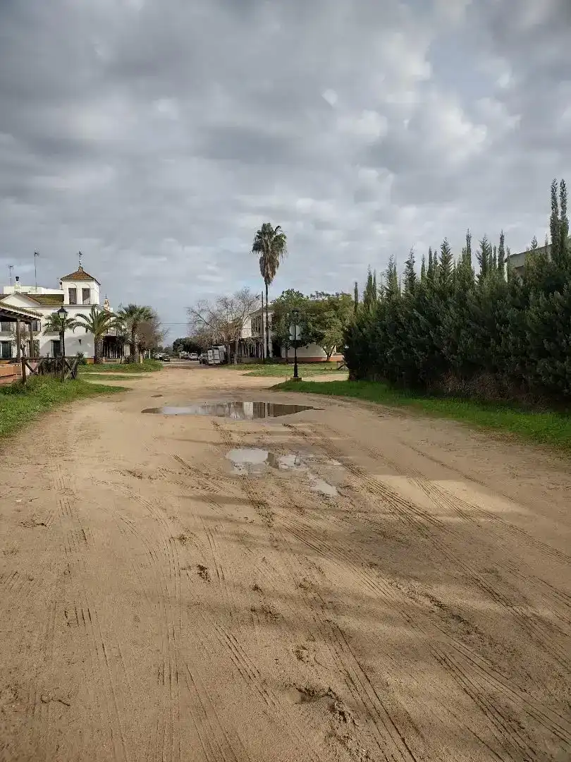 Vista exterior de Estudio en venta en Almonte con Aire acondicionado, Jardín privado y Amueblado