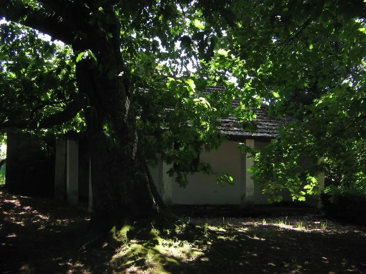 Vista exterior de Casa o xalet en venda en Vigo  amb Calefacció, Jardí privat i Terrassa