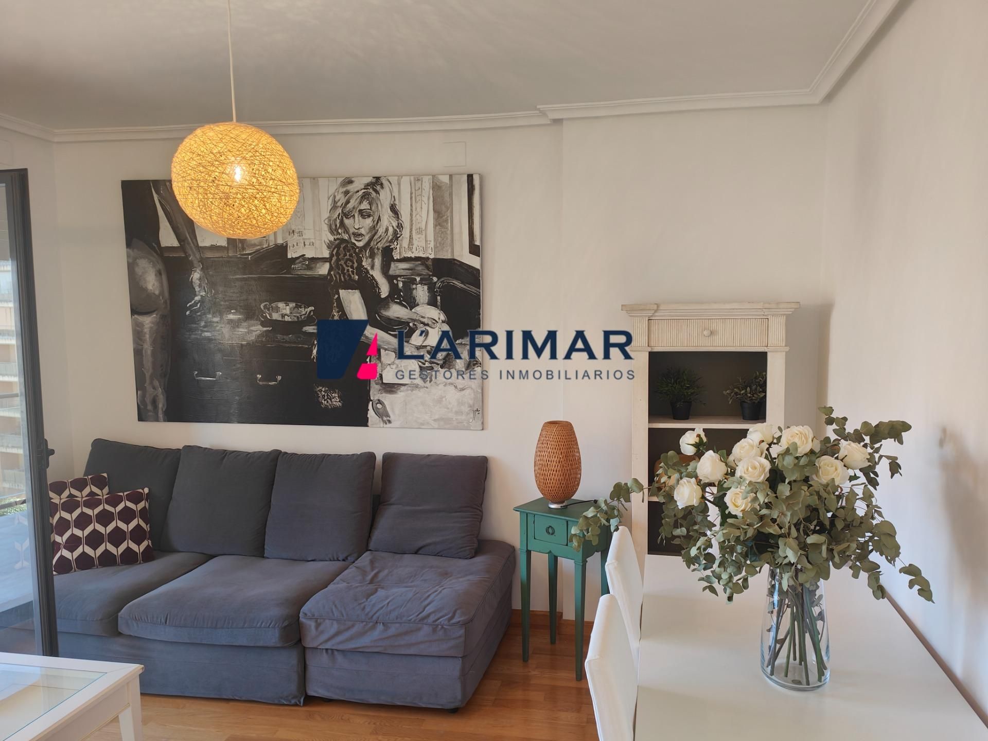 Sala d'estar de Pis de lloguer en Alicante / Alacant amb Aire condicionat, Jardí privat i Terrassa