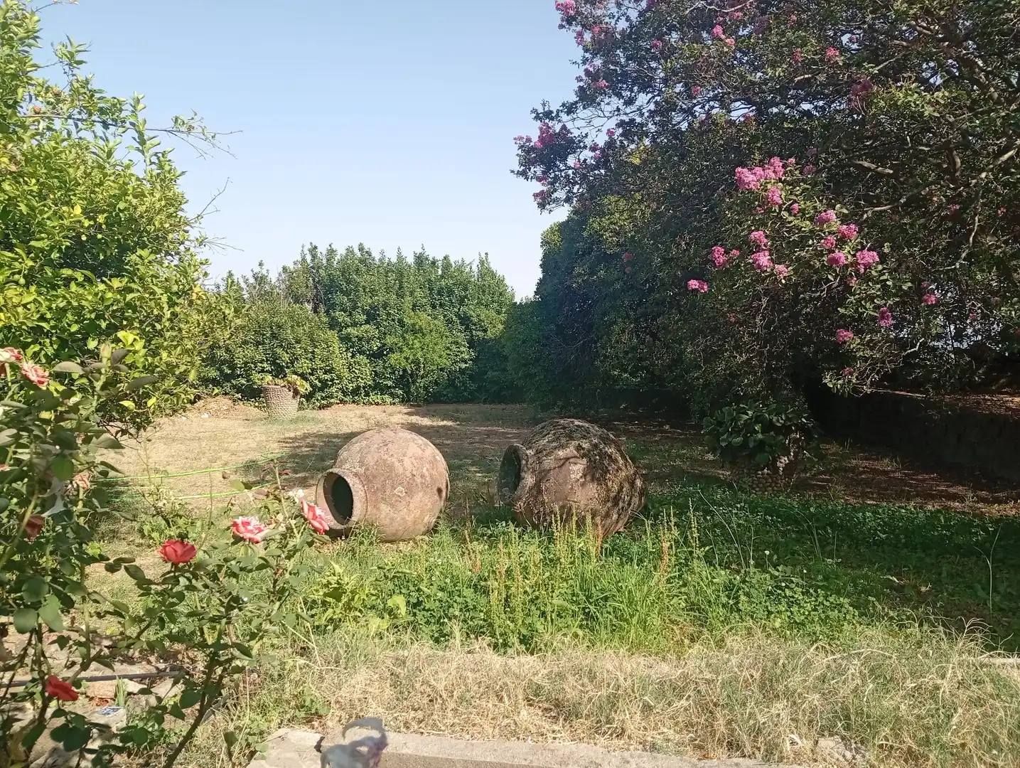 Jardín de Casa o chalet en venta en Villanueva de la Vera con Jardín privado y Trastero